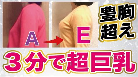 貧 乳 特徴|貧乳の7つの原因＆胸を大きくする11個の方法まとめ【バストア.